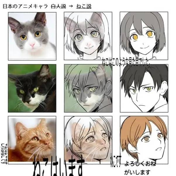 تئوری-گربه-انیمه-ژاپنی