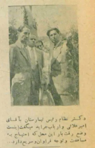 تیمارستان 1