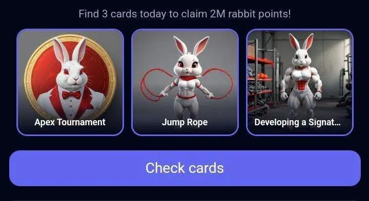 کارت های روزانه راکی رابیت Rocky Rabbit امروز 8 شهریور پنجشنبه