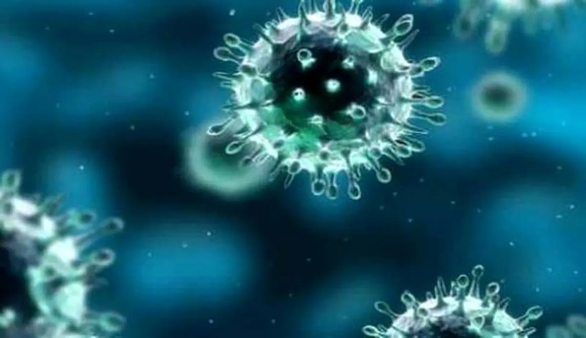ویروس نیپا، ویروسی کُشنده‌تر از کرونا!