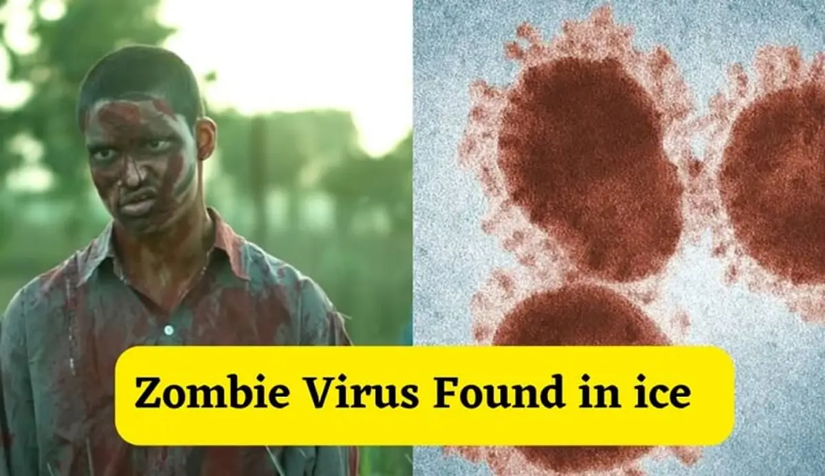 سروکله “ویروس‌ زامبی” از کجا پیدا شد و چقدر خطرناک است؟