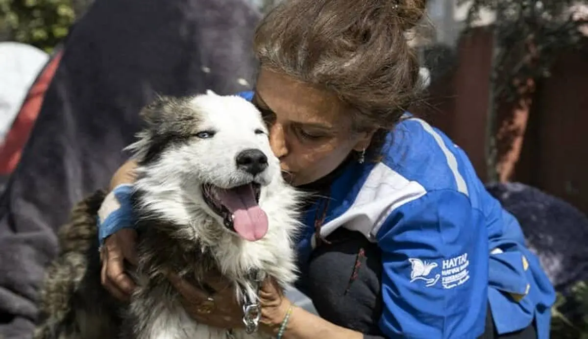 ویدئو/ نجات معجزه آسای یک سگ بعد از 23 روز از زلزله ترکیه!