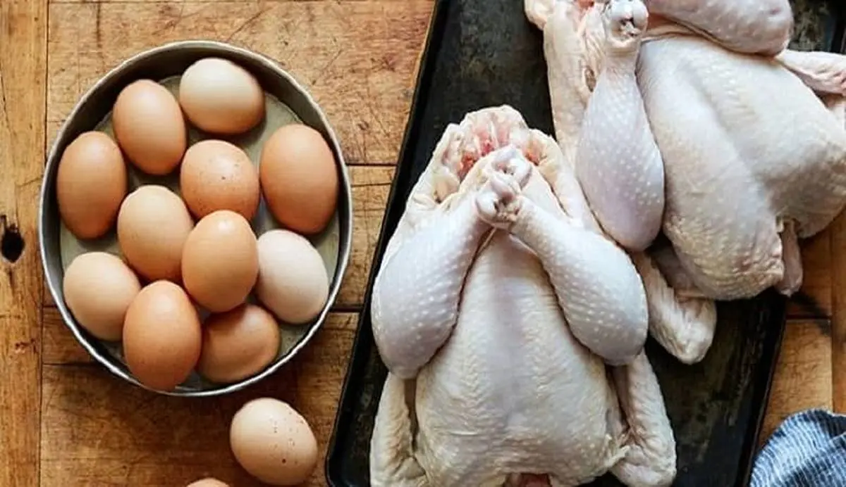 با دانستن قیمت جدید مرغ و تخم مرغ مغزتان سوت می کشد!