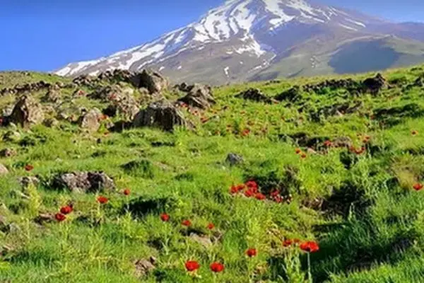 یک خبر بد برای مسافران نوروزی مازندران