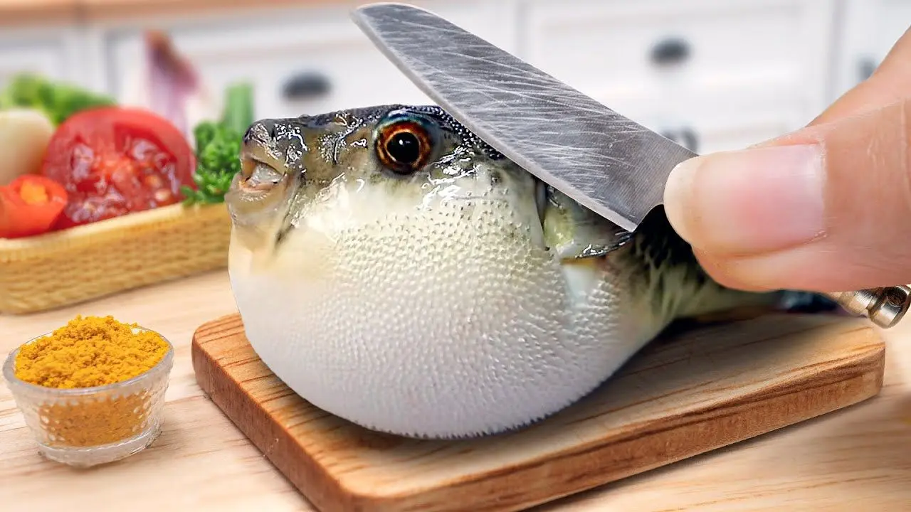 ویدیو/ خوراک ماهی بادکنکی سمی!
