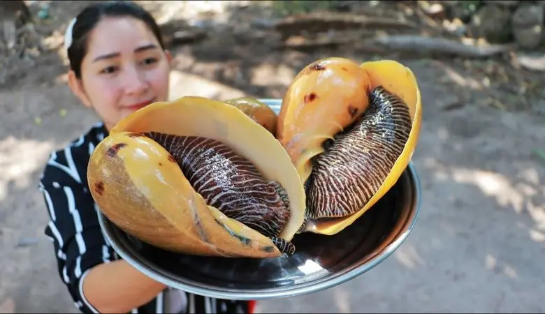 ویدیو/ آشپزی با حلزون دریایی غول پیکر در جنگل!