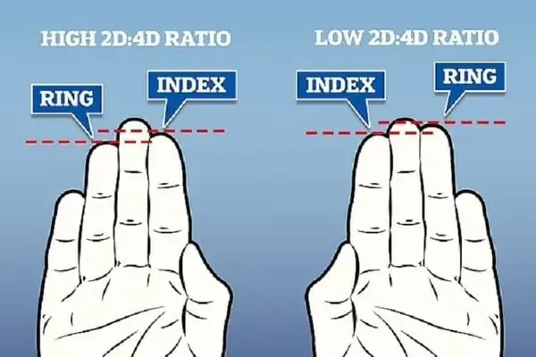 اگر انگشت اشاره تان کوتاه‌تر از انگشت حلقه است، باید خیلی مراقب باشید!