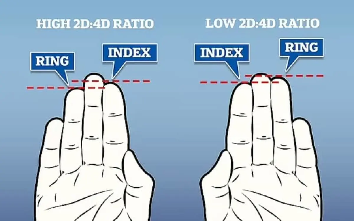 اگر انگشت اشاره تان کوتاه‌تر از انگشت حلقه است، باید خیلی مراقب باشید!