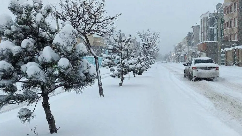 ویدئو/ بالاخره در تهران برف آمد!