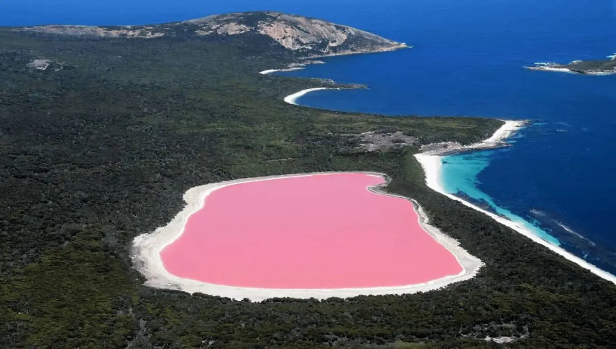 معمای دریاچه صورتی استرالیا؛ دیدنی‌ترین دریاچه دنیا حل شد!