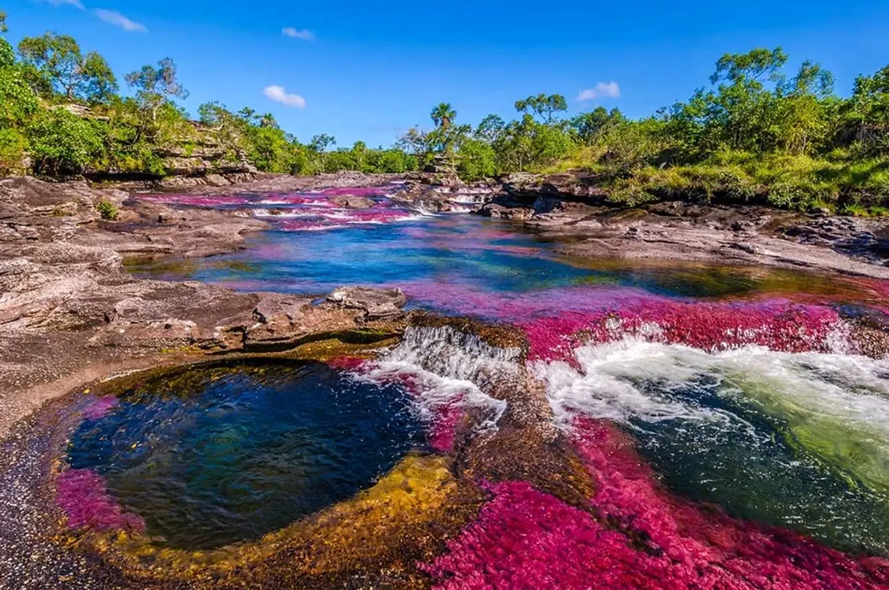 شگفتی دنیا؛ "رودخانه رنگین‌کمان" زیباترین رود جهان است!